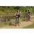 Team 49 / Raid l'Arbre Vert Cambodge - VTT