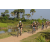 Team 30 / Raid l'Arbre Vert Cambodge - VTT