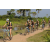 Team 30 / Raid l'Arbre Vert Cambodge - VTT