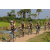 Team 37 / Raid l'Arbre Vert Cambodge - VTT