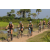 Team 37 / Raid l'Arbre Vert Cambodge - VTT