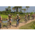 Team 49 / Raid l'Arbre Vert Cambodge - VTT