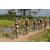 Team 30 / Raid l'Arbre Vert Cambodge - VTT