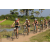 Team 30 / Raid l'Arbre Vert Cambodge - VTT