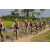 Team 30 / Raid l'Arbre Vert Cambodge - VTT