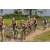 Team 38 / Raid l'Arbre Vert Cambodge - VTT