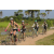 Team 38 / Raid l'Arbre Vert Cambodge - VTT