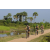 Team 20 / Raid l'Arbre Vert Cambodge - VTT