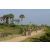 Team 73 / Raid l'Arbre Vert Cambodge - VTT