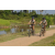Team 16 / Raid l'Arbre Vert Cambodge - VTT