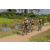 Team 62 / Raid l'Arbre Vert Cambodge - VTT