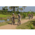 Team 73 / Raid l'Arbre Vert Cambodge - VTT