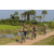 Raid l'Arbre Vert Cambodge - VTT
