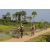 Team 61 / Raid l'Arbre Vert Cambodge - VTT