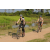 Team 61 / Raid l'Arbre Vert Cambodge - VTT