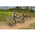 Team 41 / Raid l'Arbre Vert Cambodge - VTT