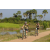Team 47 / Raid l'Arbre Vert Cambodge - VTT