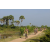 Team 47 / Raid l'Arbre Vert Cambodge - VTT