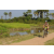 Team 47 / Raid l'Arbre Vert Cambodge - VTT