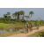 Team 50 / Raid l'Arbre Vert Cambodge - VTT