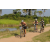 Team 22 / Raid l'Arbre Vert Cambodge - VTT