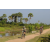 Team 22 / Raid l'Arbre Vert Cambodge - VTT