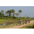 Team 40 / Raid l'Arbre Vert Cambodge - VTT