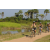 Team 40 / Raid l'Arbre Vert Cambodge - VTT