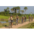 Team 40 / Raid l'Arbre Vert Cambodge - VTT