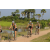 Team 85 / Raid l'Arbre Vert Cambodge - VTT