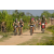 Team 74 / Raid l'Arbre Vert Cambodge - VTT