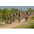 Team 22 / Raid l'Arbre Vert Cambodge - VTT