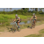 Team 22 / Raid l'Arbre Vert Cambodge - VTT