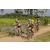 Raid l'Arbre Vert Cambodge - VTT