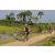 Team 09 / Raid l'Arbre Vert Cambodge - VTT