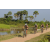 Team 09 / Raid l'Arbre Vert Cambodge - VTT