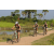 Team 09 / Raid l'Arbre Vert Cambodge - VTT