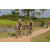 Team 52 / Raid l'Arbre Vert Cambodge - VTT