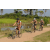Team 52 / Raid l'Arbre Vert Cambodge - VTT