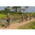 Team 39 / Raid l'Arbre Vert Cambodge - VTT