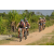 Team 12 / Raid l'Arbre Vert Cambodge - VTT