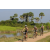 Team 12 / Raid l'Arbre Vert Cambodge - VTT