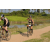 Team 32 / Raid l'Arbre Vert Cambodge - VTT