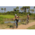 Raid l'Arbre Vert Cambodge - VTT