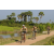 Team 21 / Raid l'Arbre Vert Cambodge - VTT