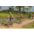 Team 21 / Raid l'Arbre Vert Cambodge - VTT