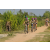 Team 01 / Raid l'Arbre Vert Cambodge - VTT