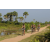 Team 07 / Raid l'Arbre Vert Cambodge - VTT