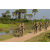 Team 13 / Raid l'Arbre Vert Cambodge - VTT