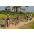 Team 13 / Raid l'Arbre Vert Cambodge - VTT